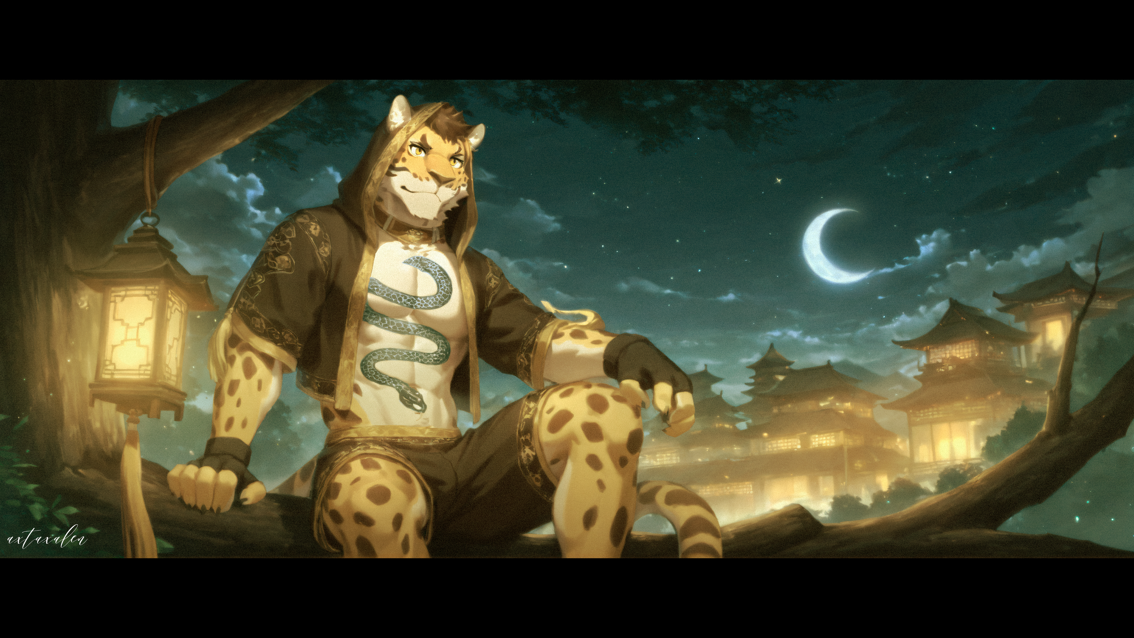 The Serenity of the Night.jpg